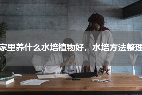 家里养什么水培植物好，水培方法整理