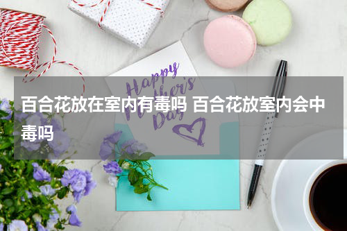 百合花放在室内有毒吗 百合花放室内会中毒吗
