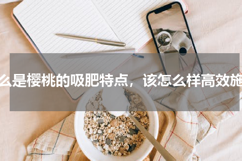 什么是樱桃的吸肥特点，该怎么样高效施肥