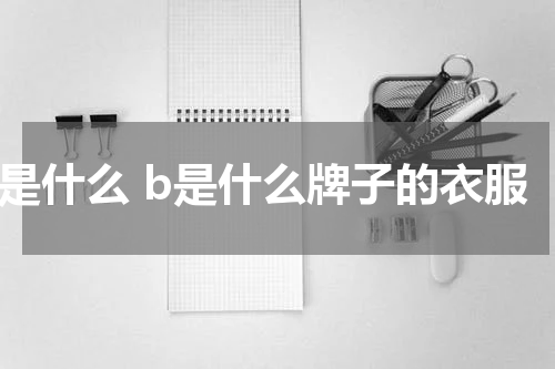 b是什么 b是什么牌子的衣服