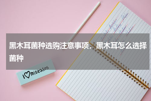 黑木耳菌种选购注意事项，黑木耳怎么选择菌种