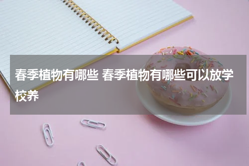 春季植物有哪些 春季植物有哪些可以放学校养