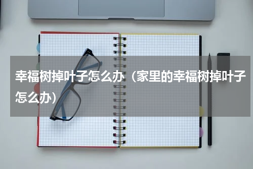 幸福树掉叶子怎么办（家里的幸福树掉叶子怎么办）
