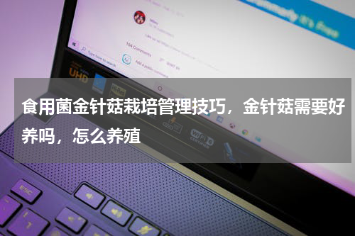 食用菌金针菇栽培管理技巧，金针菇需要好养吗，怎么养殖