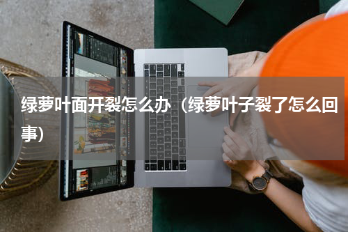 绿萝叶面开裂怎么办（绿萝叶子裂了怎么回事）