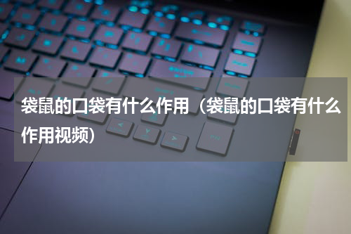 袋鼠的口袋有什么作用（袋鼠的口袋有什么作用视频）