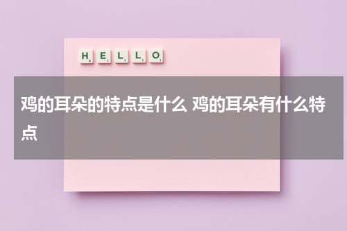鸡的耳朵的特点是什么 鸡的耳朵有什么特点