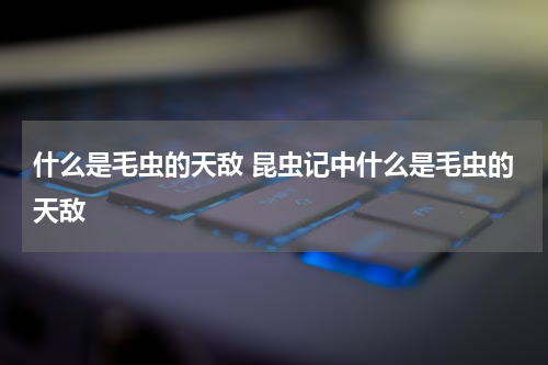 什么是毛虫的天敌 昆虫记中什么是毛虫的天敌