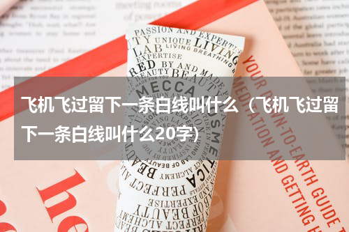 飞机飞过留下一条白线叫什么（飞机飞过留下一条白线叫什么20字）