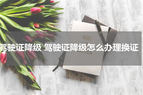 驾驶证降级 驾驶证降级怎么办理换证