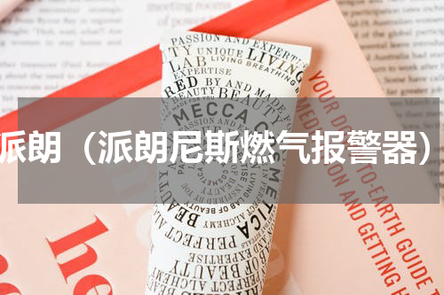 派朗（派朗尼斯燃气报警器）