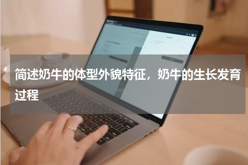 简述奶牛的体型外貌特征，奶牛的生长发育过程