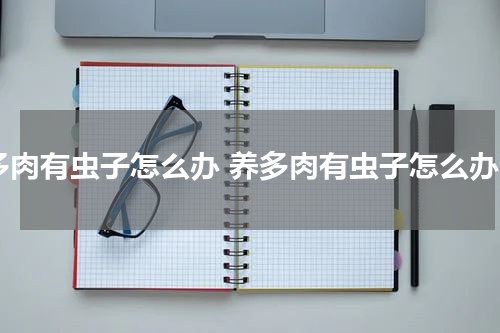 多肉有虫子怎么办 养多肉有虫子怎么办