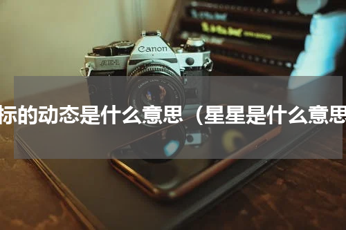 星标的动态是什么意思（星星是什么意思）