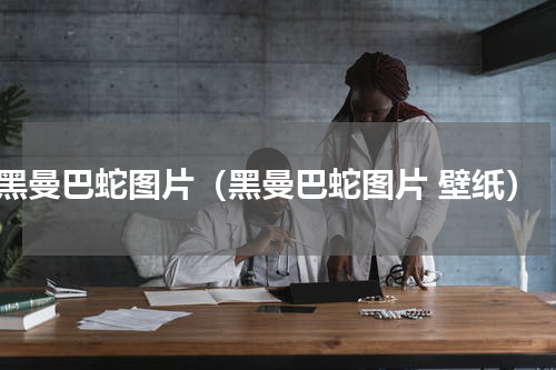 黑曼巴蛇图片（黑曼巴蛇图片 壁纸）