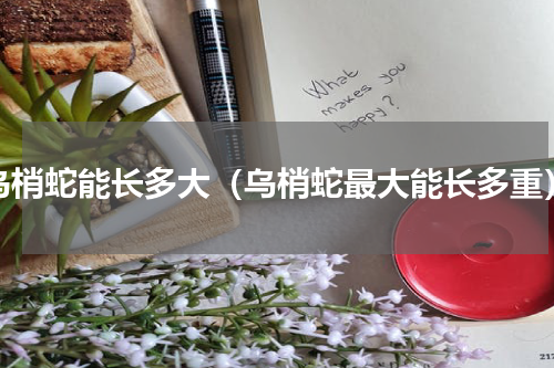乌梢蛇能长多大（乌梢蛇最大能长多重）