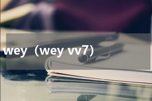 wey（wey vv7）