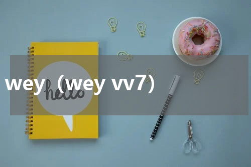 wey（wey vv7）