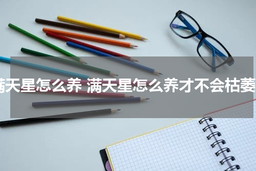 满天星怎么养 满天星怎么养才不会枯萎