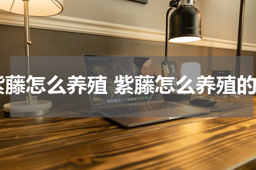 紫藤怎么养殖 紫藤怎么养殖的