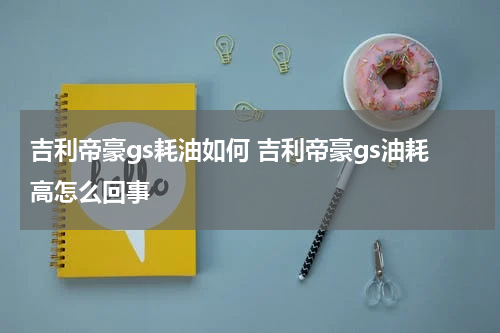 吉利帝豪gs耗油如何 吉利帝豪gs油耗高怎么回事