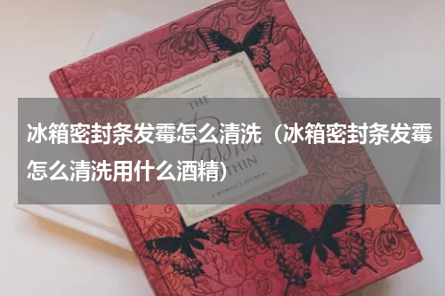 冰箱密封条发霉怎么清洗（冰箱密封条发霉怎么清洗用什么酒精）