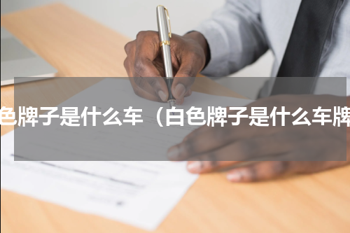 白色牌子是什么车（白色牌子是什么车牌）