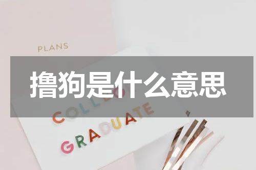 撸狗是什么意思