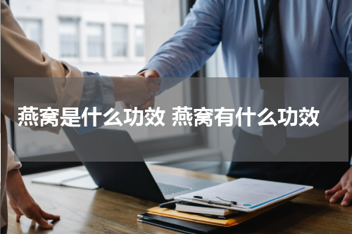 燕窝是什么功效 燕窝有什么功效