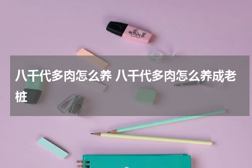 八千代多肉怎么养 八千代多肉怎么养成老桩