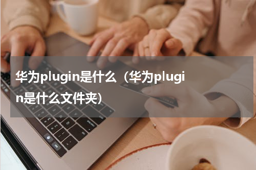 华为plugin是什么（华为plugin是什么文件夹）