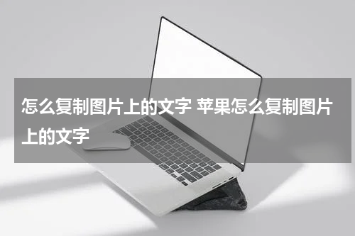 怎么复制图片上的文字 苹果怎么复制图片上的文字