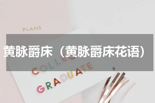 黄脉爵床（黄脉爵床花语）