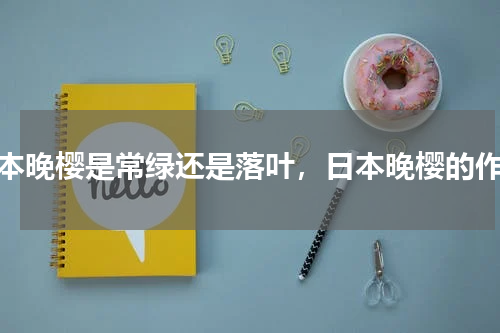 日本晚樱是常绿还是落叶，日本晚樱的作用