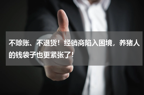 不赊账、不退货！经销商陷入困境，养猪人的钱袋子也更紧张了！