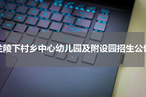 兰陵下村乡中心幼儿园及附设园招生公告