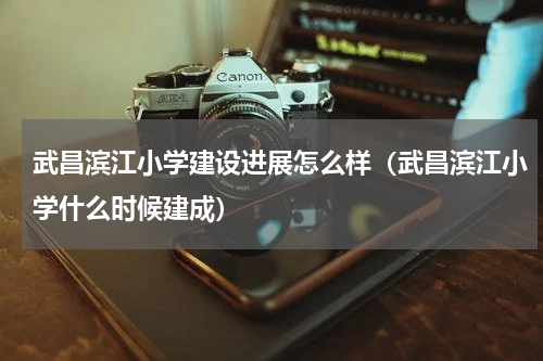 武昌滨江小学建设进展怎么样（武昌滨江小学什么时候建成）