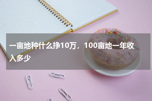 一亩地种什么挣10万，100亩地一年收入多少