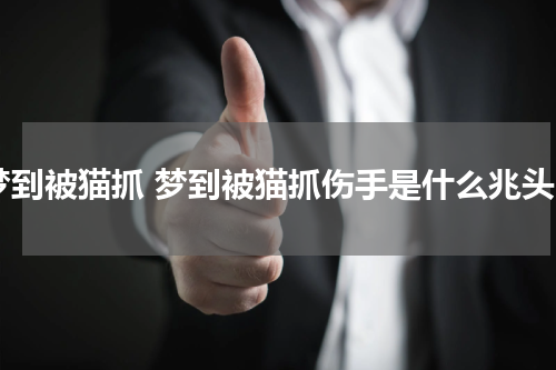 梦到被猫抓 梦到被猫抓伤手是什么兆头