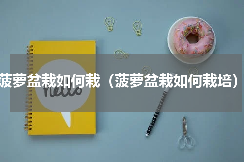 菠萝盆栽如何栽（菠萝盆栽如何栽培）