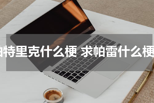 帕特里克什么梗 求帕雷什么梗