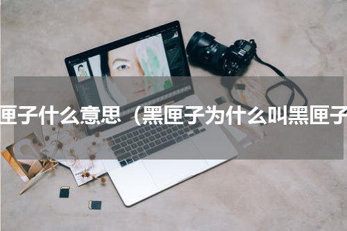 黑匣子什么意思（黑匣子为什么叫黑匣子）