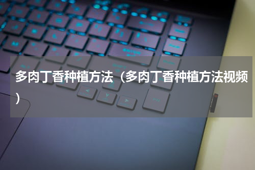 多肉丁香种植方法（多肉丁香种植方法视频）