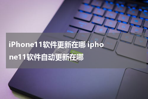 iPhone11软件更新在哪 iphone11软件自动更新在哪