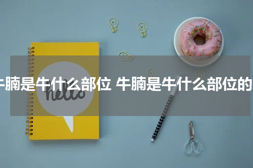 牛腩是牛什么部位 牛腩是牛什么部位的