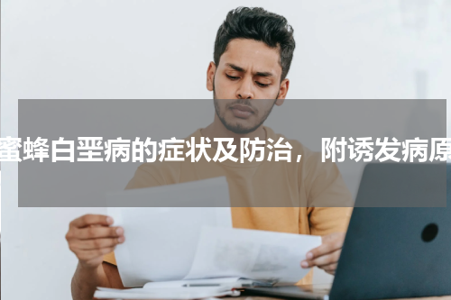 蜜蜂白垩病的症状及防治，附诱发病原