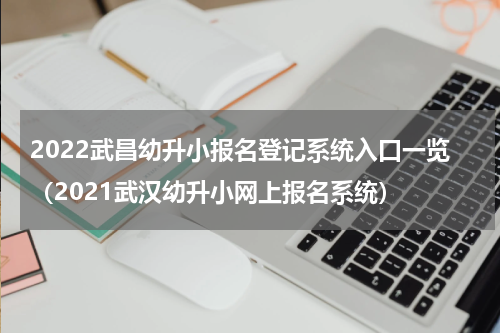 2022武昌幼升小报名登记系统入口一览（2021武汉幼升小网上报名系统）