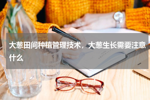 大葱田间种植管理技术，大葱生长需要注意什么