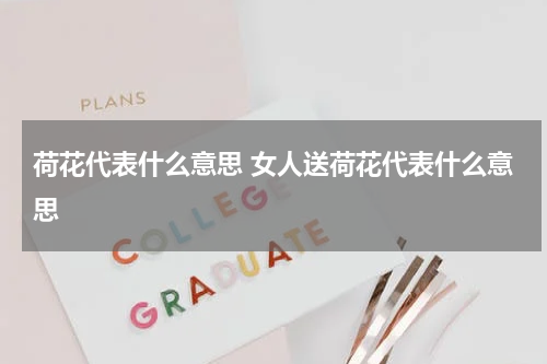 荷花代表什么意思 女人送荷花代表什么意思