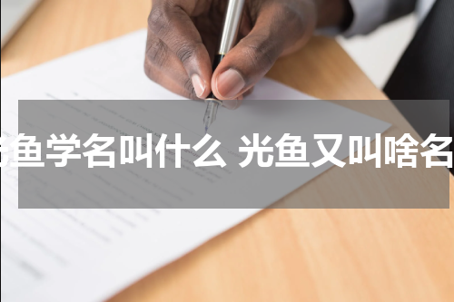 光鱼学名叫什么 光鱼又叫啥名